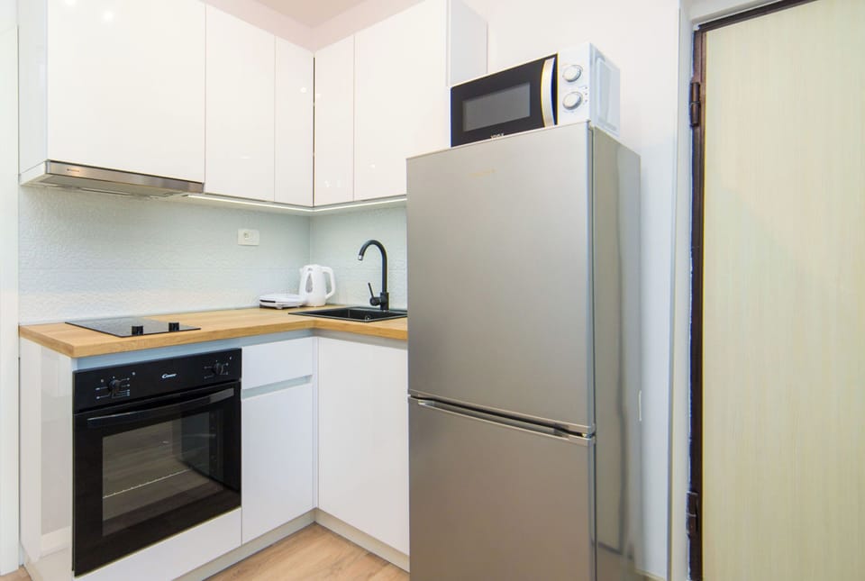 Apartment (A1) | Private kitchen | Fridge, microwave, oven, stovetop