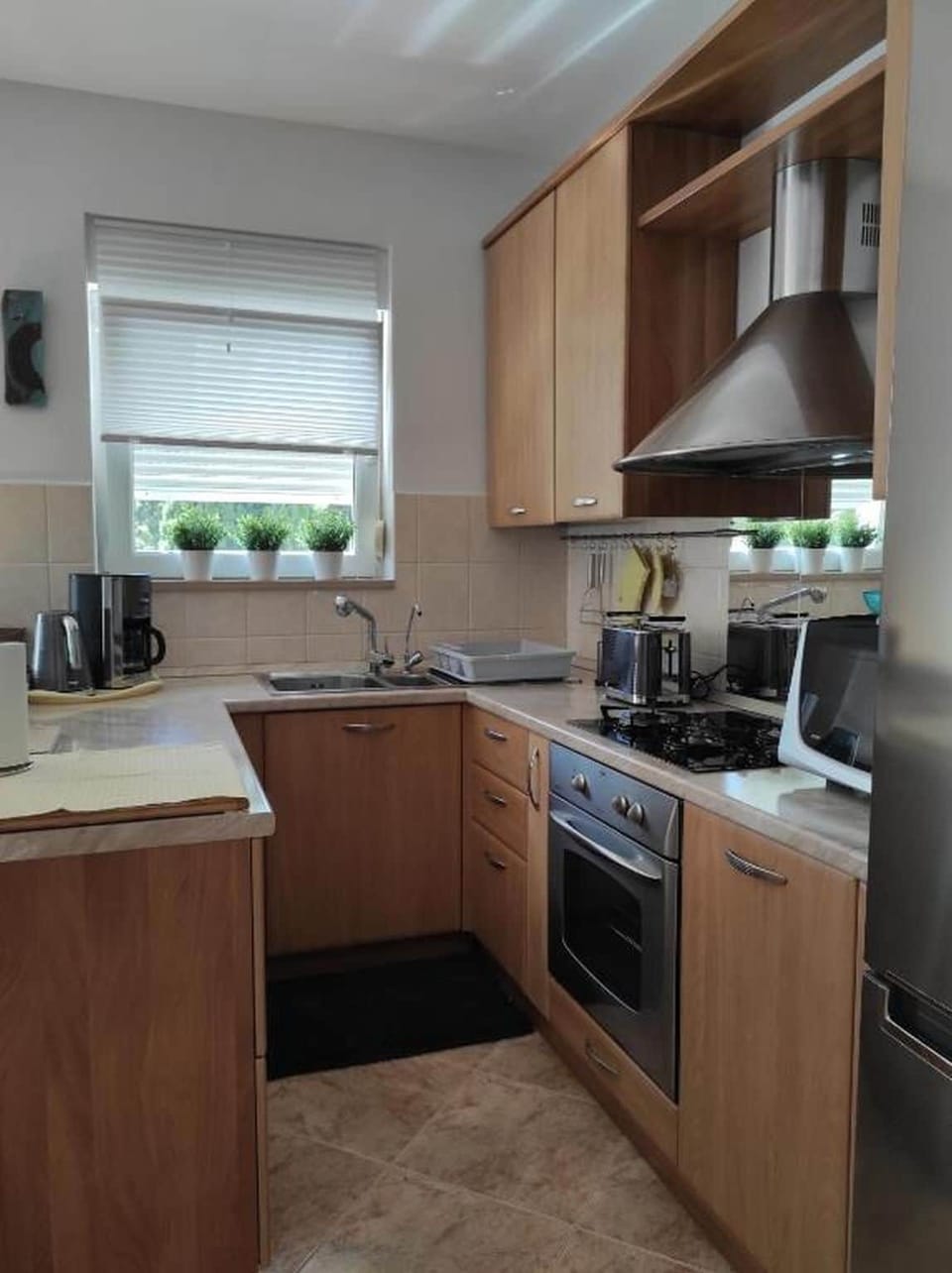Apartment (A1) | Private kitchen | Fridge, microwave, oven, stovetop