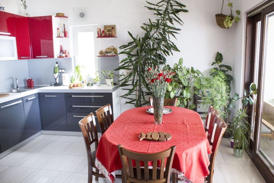Apartment (A1) | Private kitchen | Espresso maker, fridge, oven, stovetop