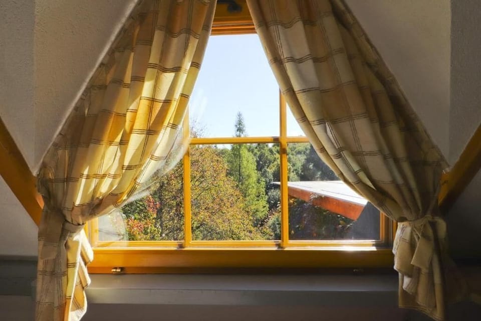 House | Garden view