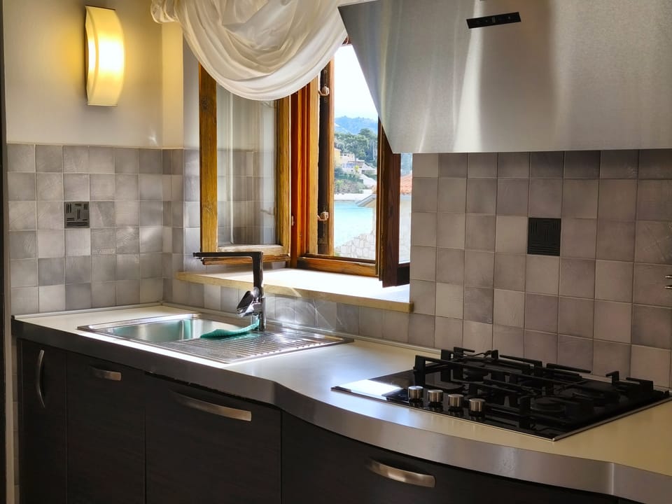 House | Private kitchen | Fridge, oven, stovetop, dishwasher