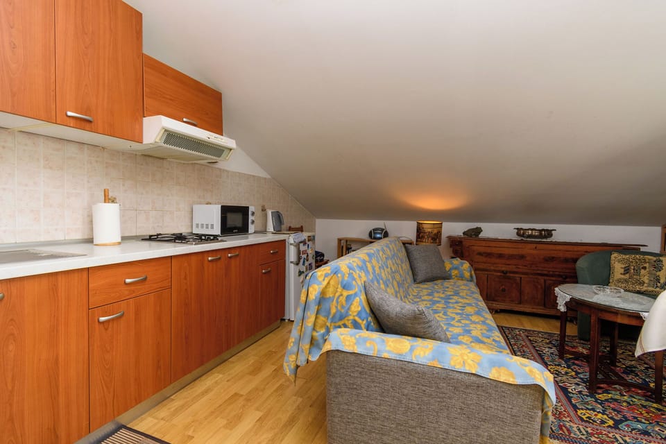 Apartment (A1) | Private kitchen | Fridge, microwave, stovetop, electric kettle