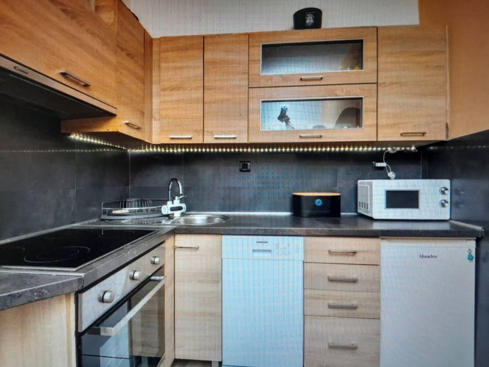 Apartment (A1) | Private kitchen | Fridge, microwave, oven, stovetop
