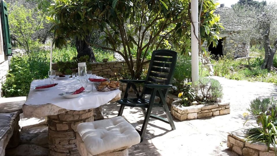 House | Terrace/patio
