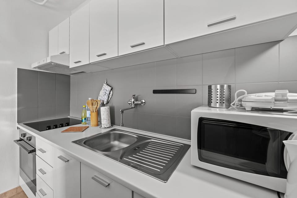 Apartment (A1) | Private kitchen | Fridge, microwave, oven, stovetop