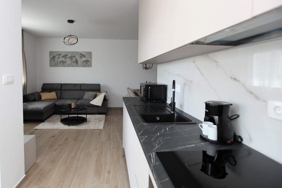 Apartment (A1) | Private kitchen | Fridge, microwave, oven, stovetop