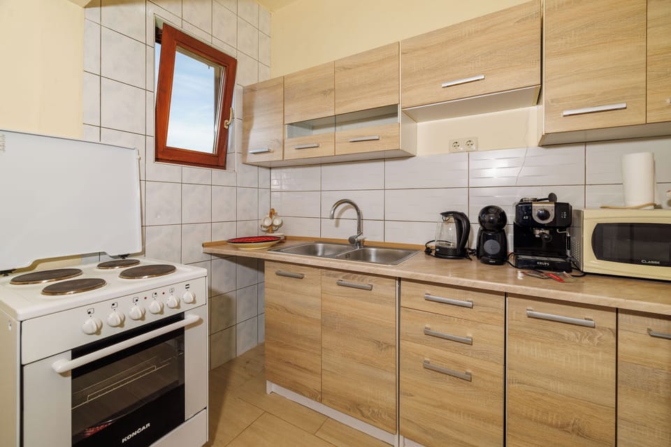Apartment (A1) | Private kitchen | Fridge, microwave, oven, stovetop