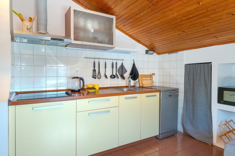 Apartment (A1) | Private kitchen | Fridge, microwave, stovetop, dishwasher