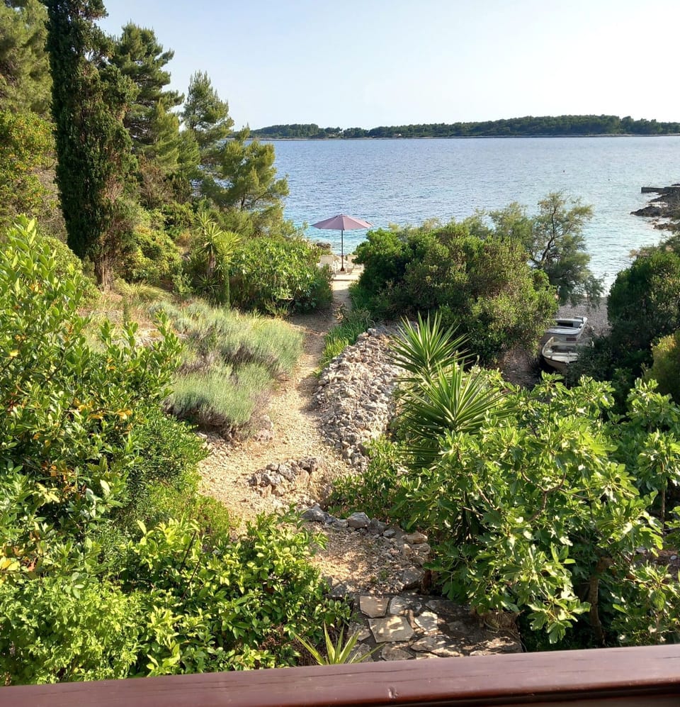 House | Water view