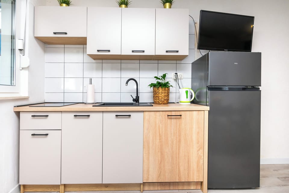 Apartment (A1) | Private kitchen | Fridge, stovetop, dishwasher, espresso maker