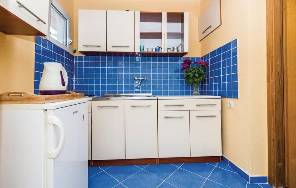 House | Private kitchen | Fridge, microwave, oven, stovetop