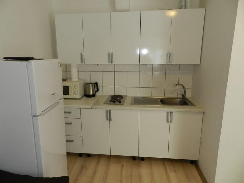 Apartment (A1) | Private kitchen | Fridge, microwave, stovetop, espresso maker