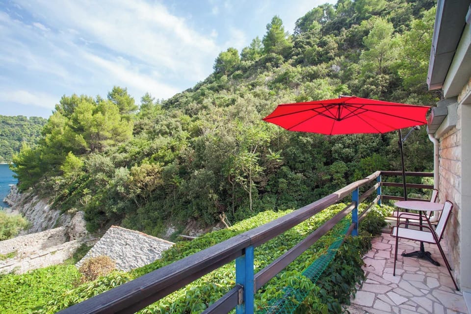 House | Terrace/patio