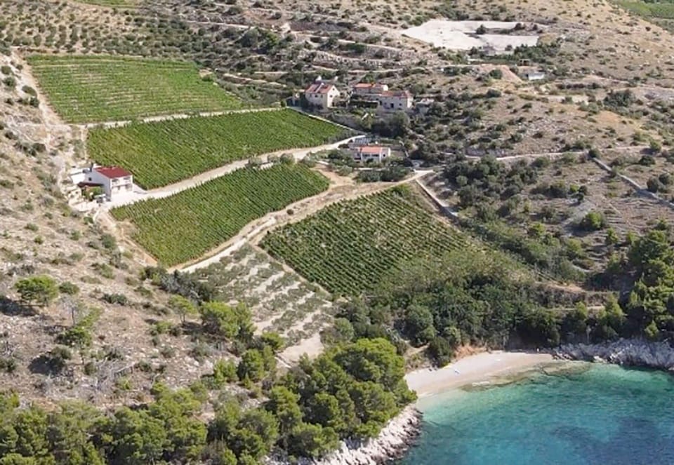 House | Aerial view