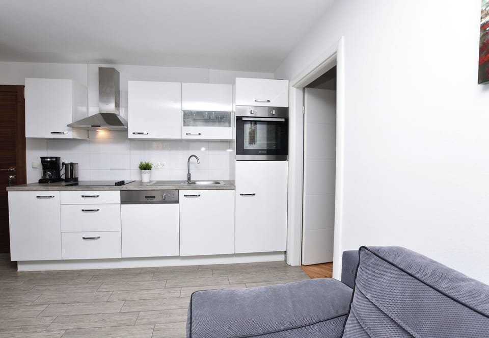 Apartment (A1) | Private kitchen | Fridge, oven, stovetop, dishwasher