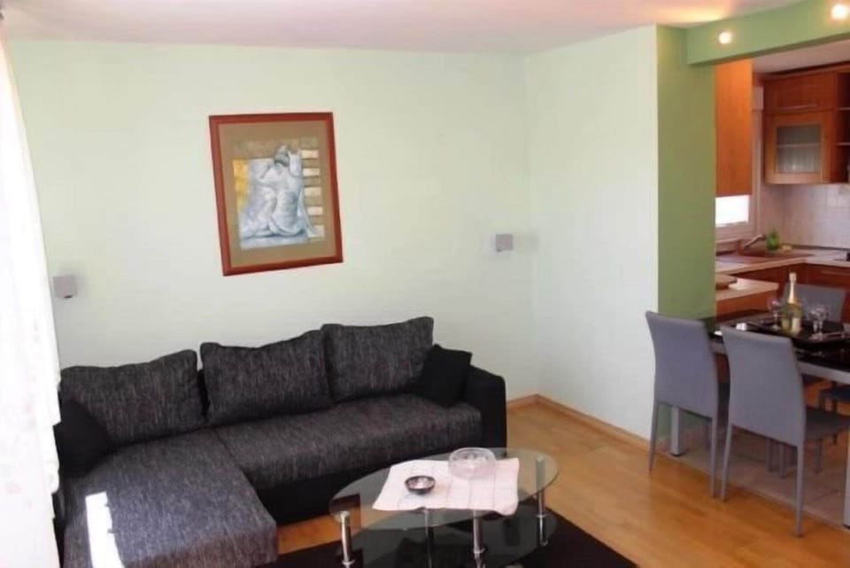 Apartment (A1) | Living room | DVD player