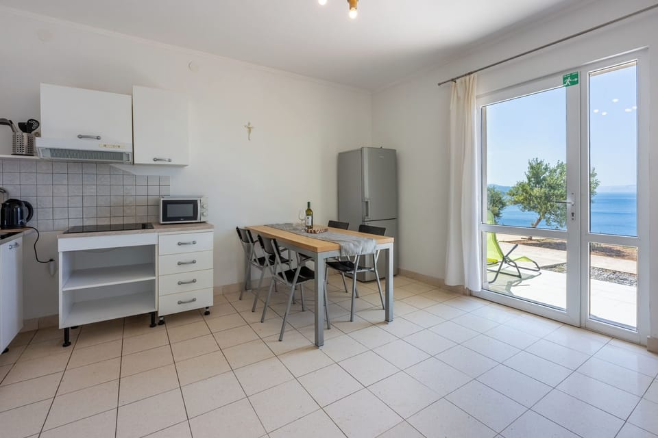 Apartment (A2) | Private kitchen | Fridge, microwave, stovetop, electric kettle