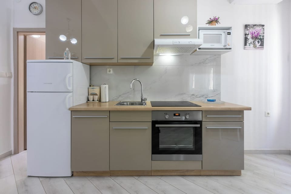 Apartment (A1) | Private kitchen | Fridge, microwave, oven, stovetop