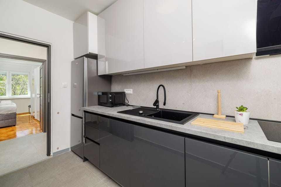 Apartment (A1) | Private kitchen | Fridge, microwave, stovetop, dishwasher