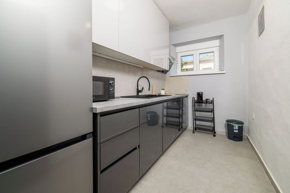 Apartment (A1) | Private kitchen | Fridge, microwave, stovetop, dishwasher