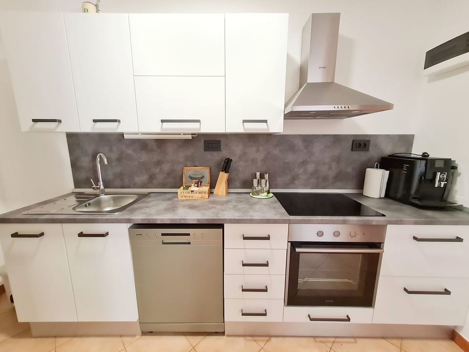 Apartment (A1) | Private kitchen | Fridge, microwave, stovetop, dishwasher