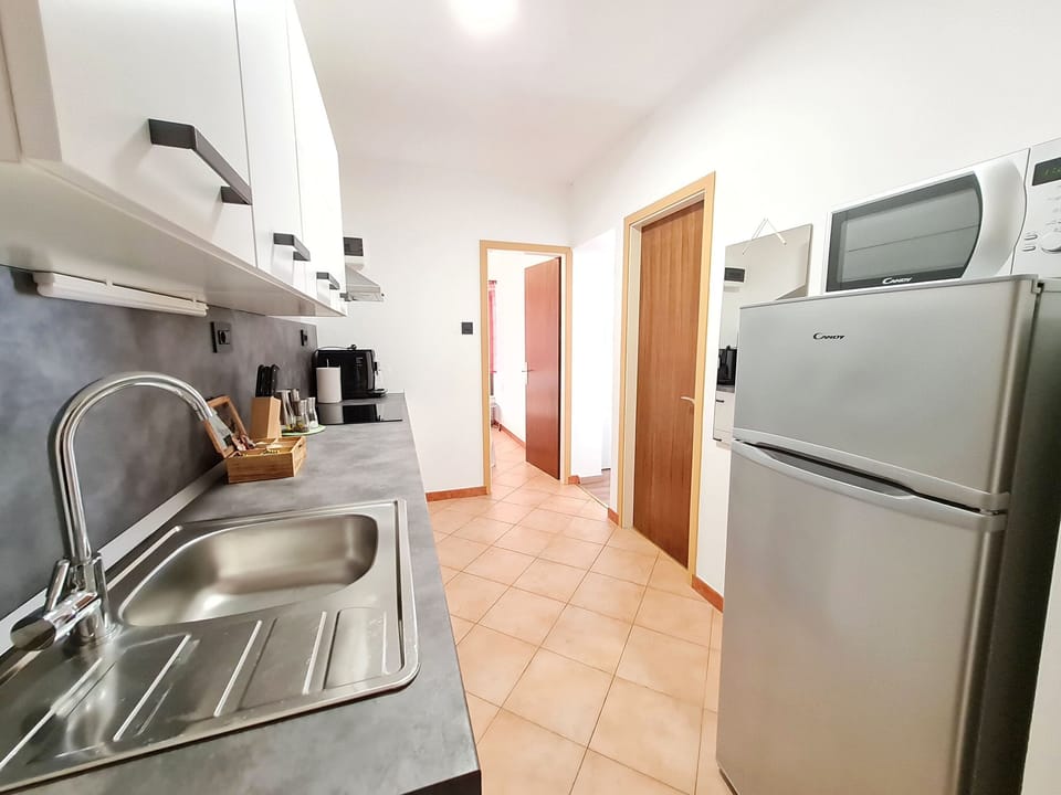 Apartment (A1) | Private kitchen | Fridge, microwave, stovetop, dishwasher