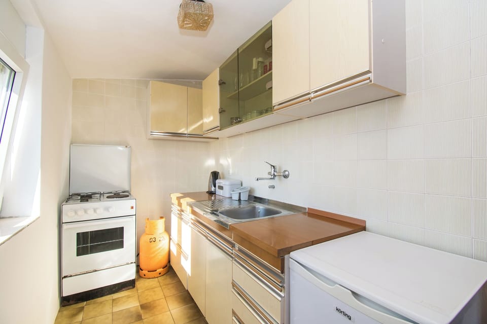 Apartment (A2) | Private kitchen | Fridge, oven, stovetop, cookware/dishes/utensils