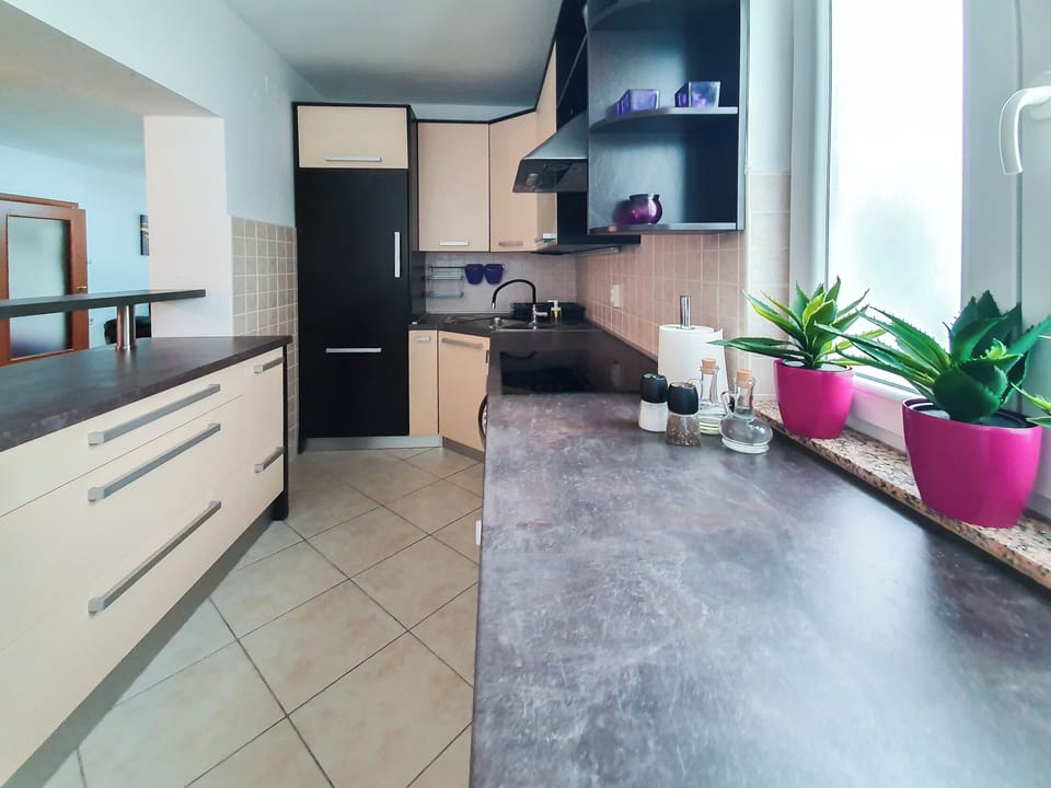 Apartment (A1) | Private kitchen | Fridge, microwave, oven, stovetop