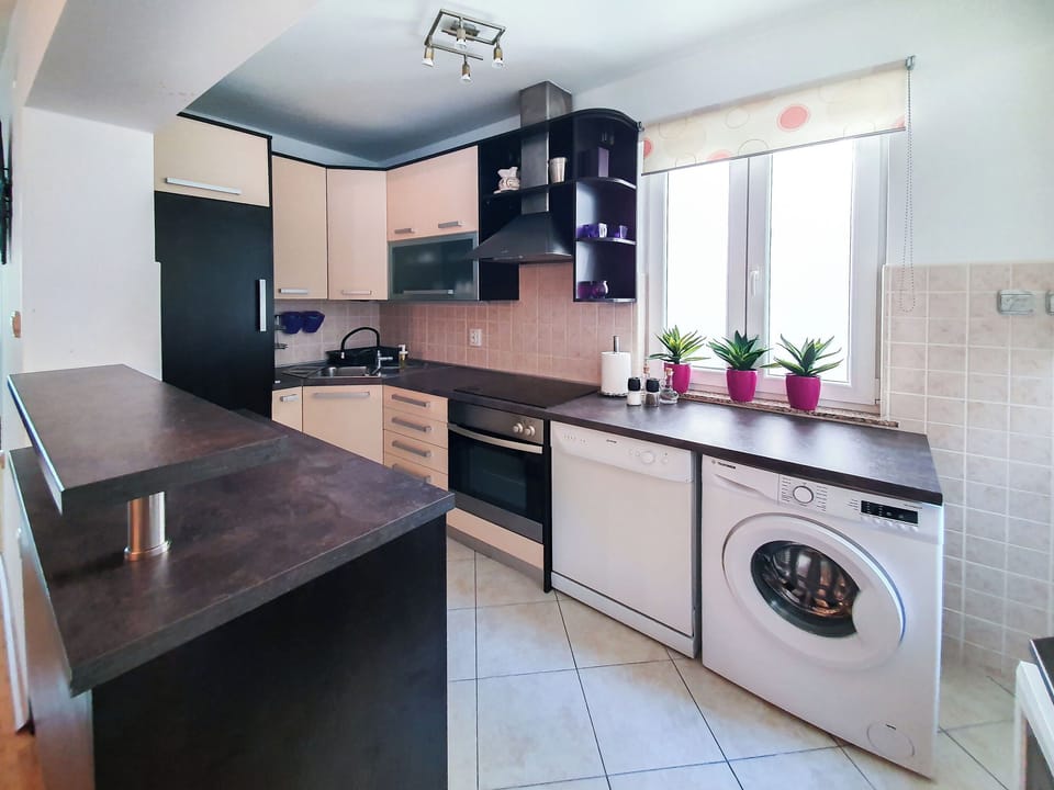 Apartment (A1) | Private kitchen | Fridge, microwave, oven, stovetop