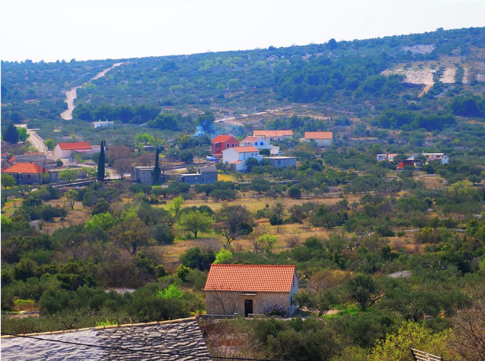 House | Aerial view