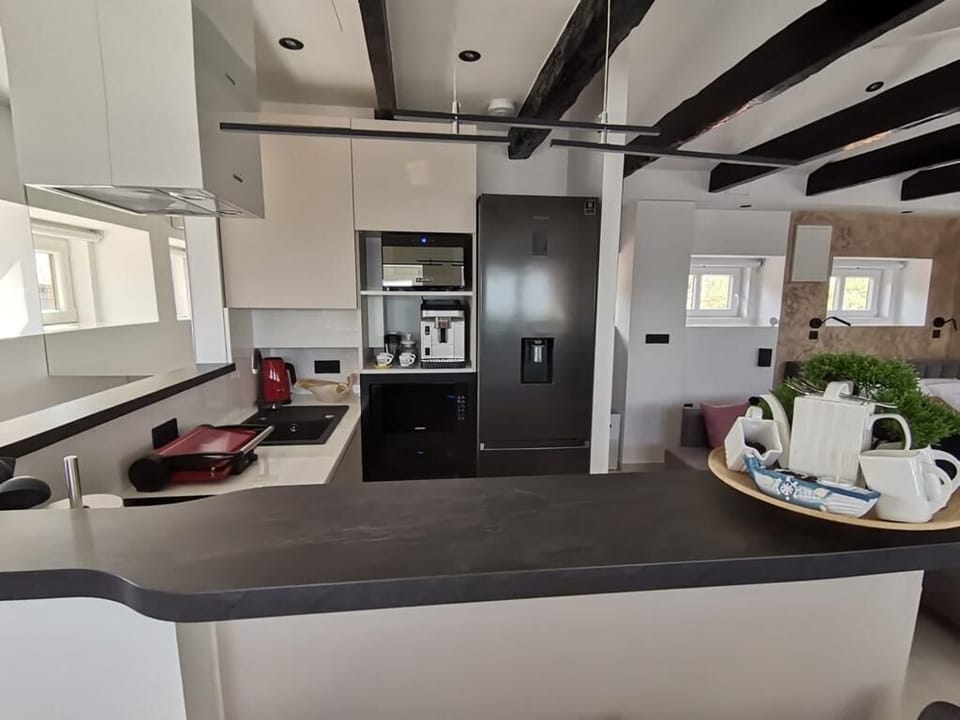 Studio (A1) | Private kitchen | Fridge, microwave, oven, stovetop