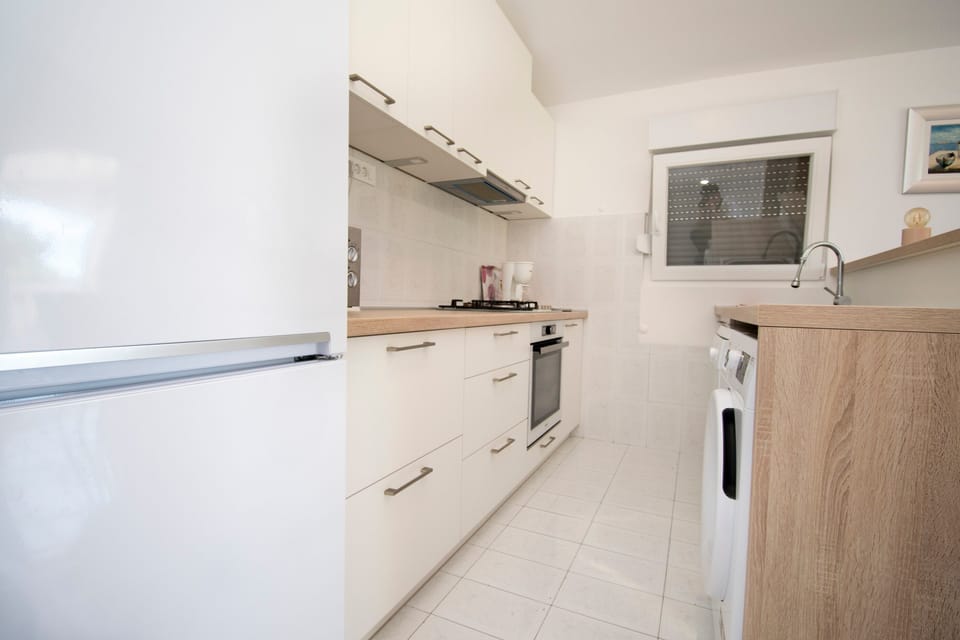 Apartment (A1) | Private kitchen | Fridge, microwave, stovetop, dishwasher