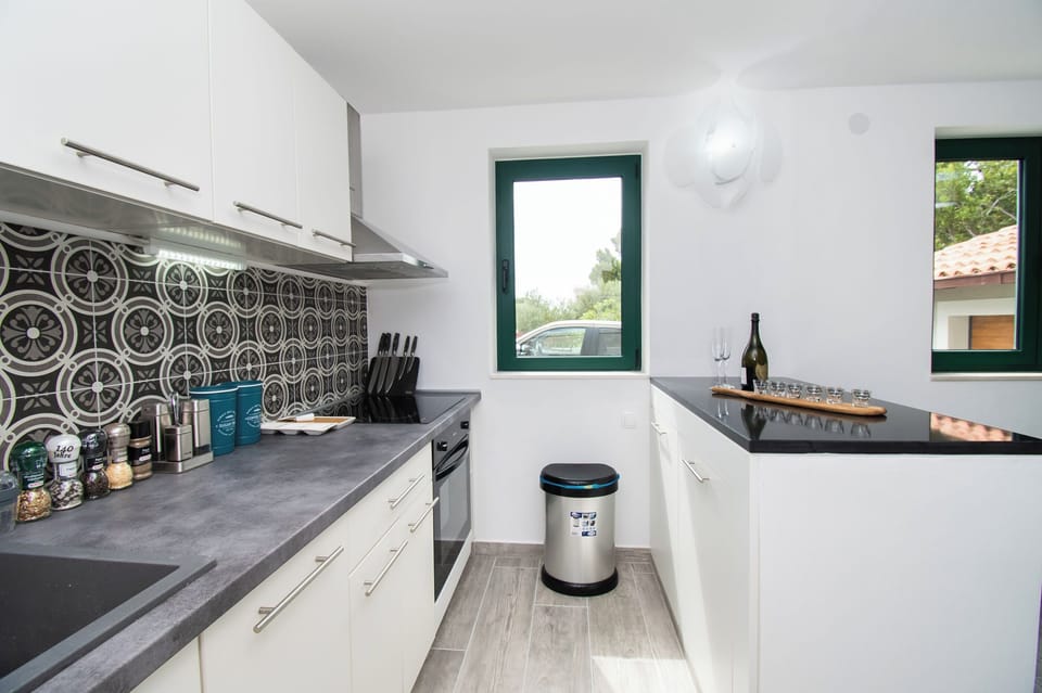 House | Private kitchen | Fridge, microwave, oven, stovetop