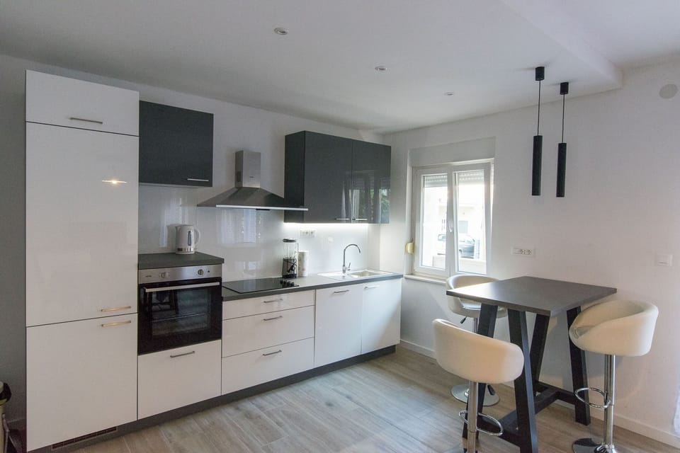 Apartment (A1) | Private kitchen | Fridge, oven, stovetop, dishwasher