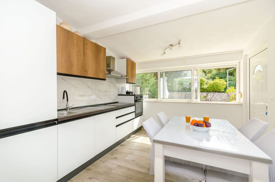 Apartment (A1) | Private kitchen | Fridge, oven, stovetop, dishwasher