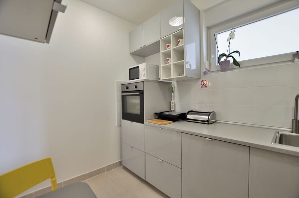 Apartment (A1) | Private kitchen | Fridge, microwave, oven, stovetop