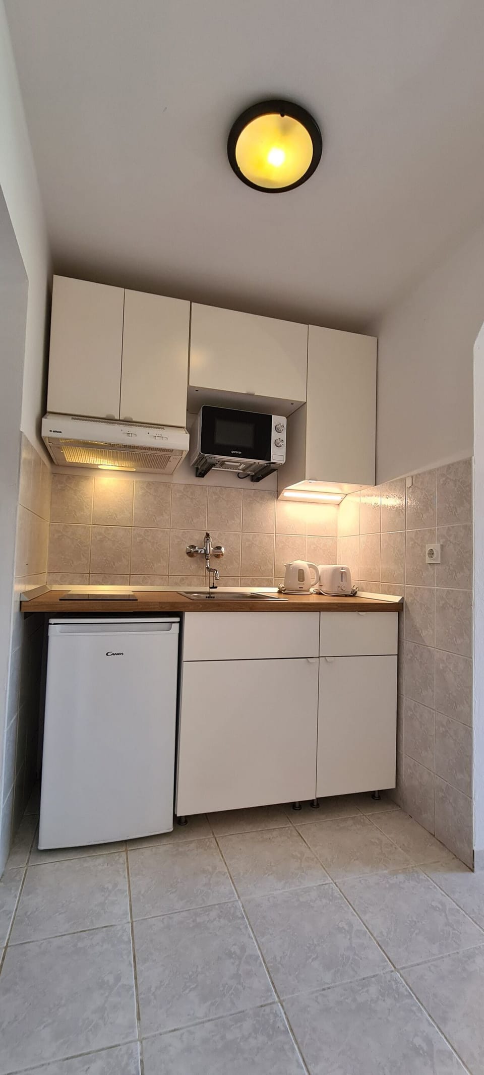 Apartment (A1) | Private kitchen | Fridge, microwave, stovetop, electric kettle