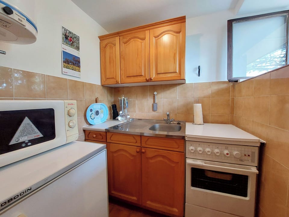 Apartment (A1) | Private kitchen | Fridge, microwave, oven, stovetop