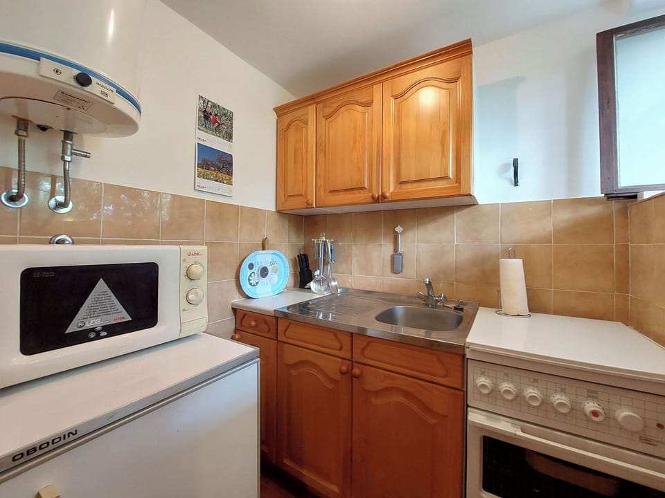 Apartment (A1) | Private kitchen | Fridge, microwave, oven, stovetop