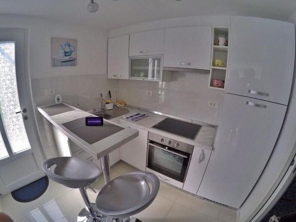 Studio (A1) | Private kitchen | Fridge, microwave, oven, stovetop