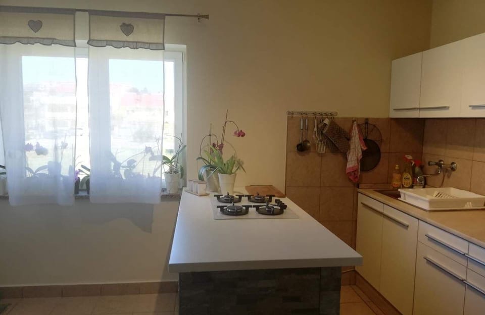 Apartment (A1) | Private kitchen | Fridge, microwave, oven, stovetop