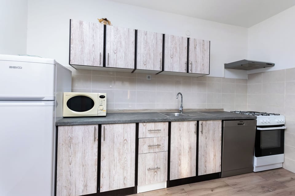 Apartment (A1) | Private kitchen | Fridge, microwave, oven, stovetop