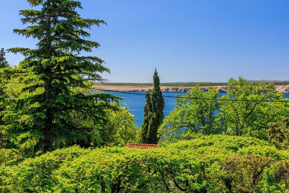 Apartment (A1) | Water view