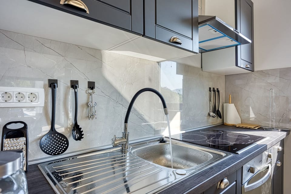 Villa | Private kitchen | Fridge, oven, stovetop, dishwasher