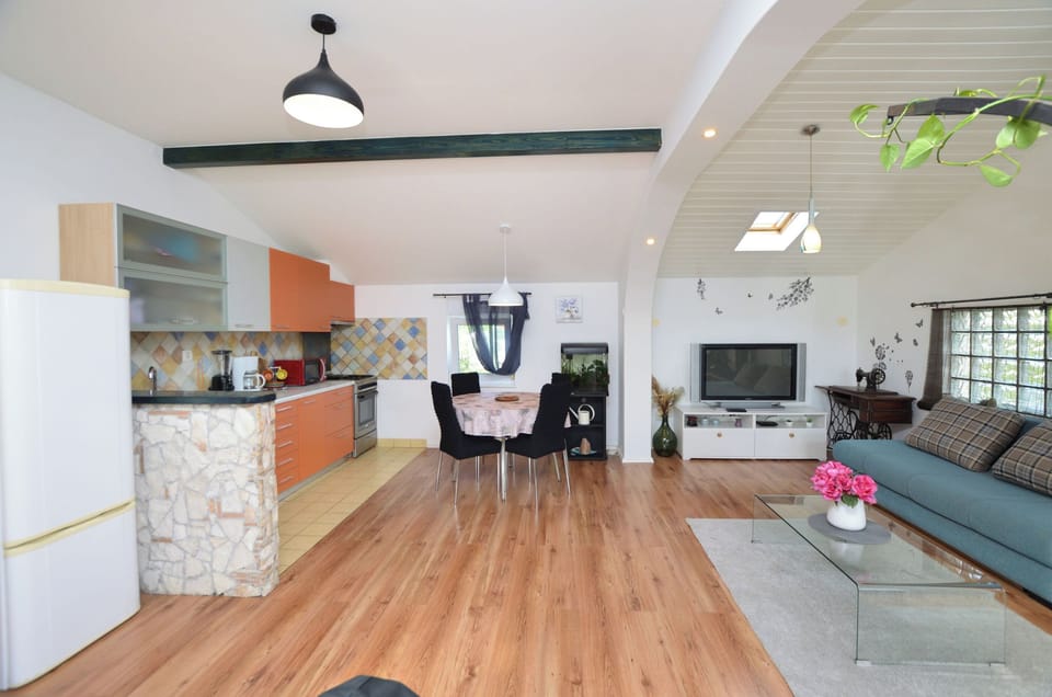 Apartment (A1) | Private kitchen | Fridge, microwave, oven, stovetop
