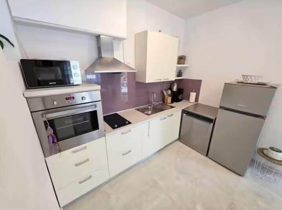 Apartment (A1) | Private kitchen | Fridge, oven, stovetop, dishwasher