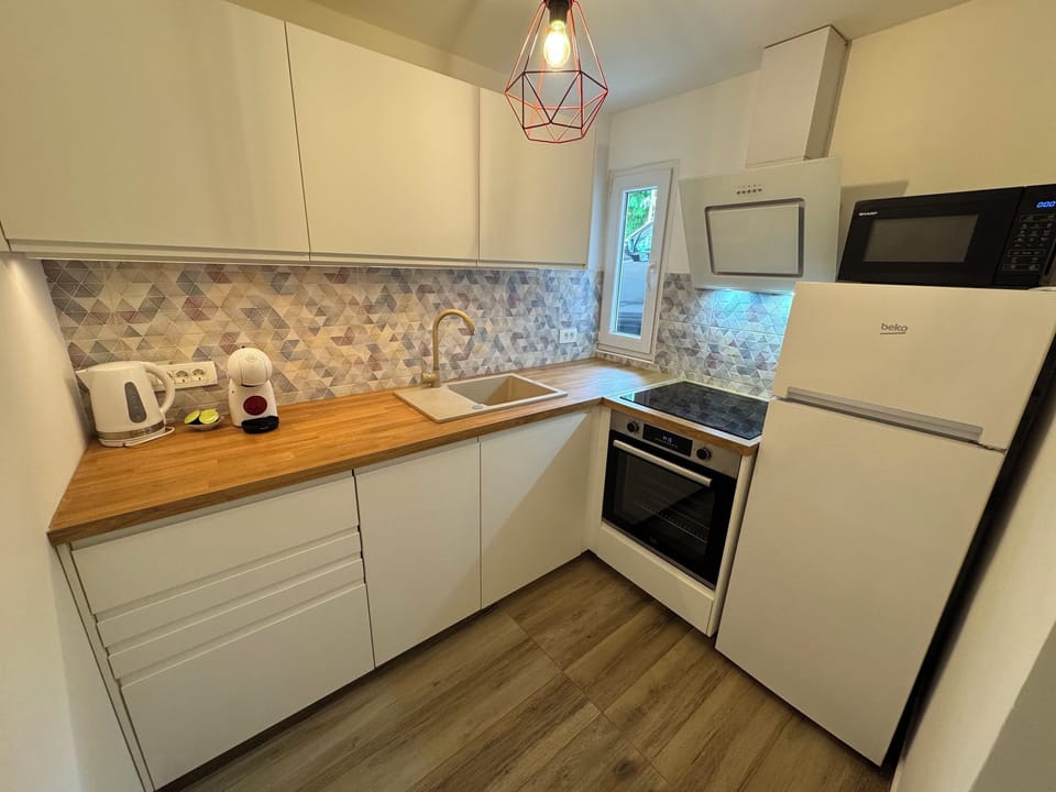 Apartment (A1) | Private kitchen | Fridge, microwave, oven, stovetop