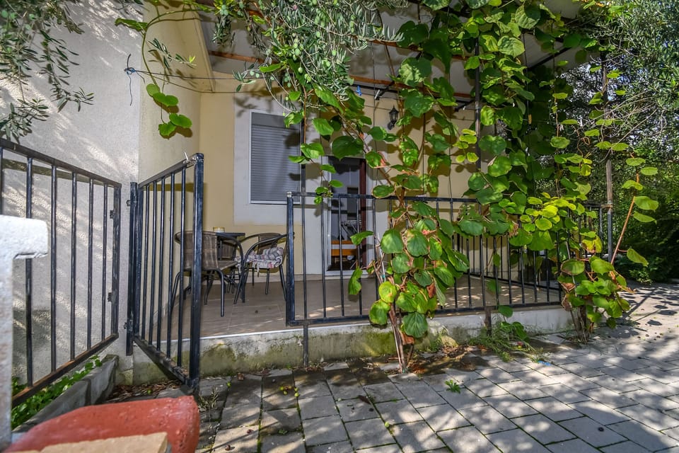 House | Terrace/patio