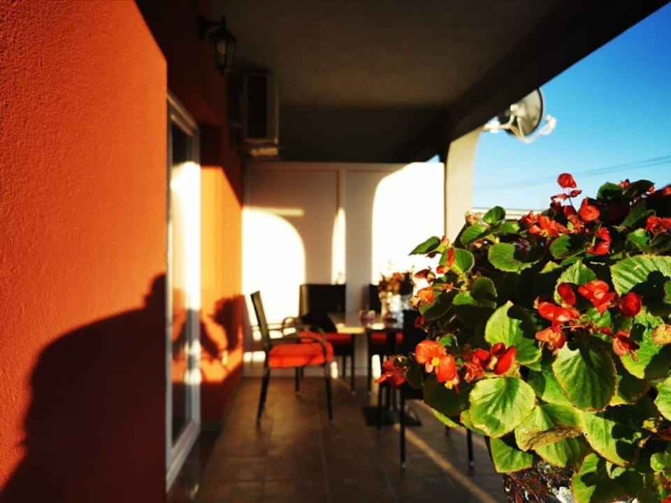 Apartment (A1) | Terrace/patio