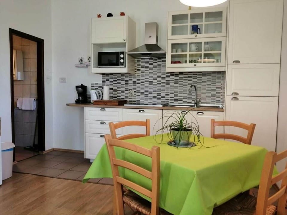 Apartment (A1) | Private kitchen | Fridge, microwave, stovetop, dishwasher